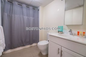 Downtown 1 Bed 1 Bath BOSTON Boston - $3,125