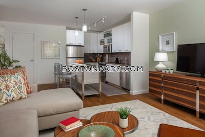 Downtown Apartment for rent 1 Bedroom 1 Bath Boston - $4,178
