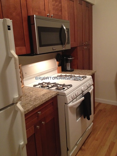 Brighton Apartment for rent 1 Bedroom 1 Bath Boston - $2,395