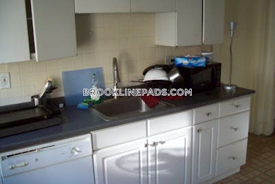 Brookline Apartment for rent 3 Bedrooms 1 Bath  Boston University - $4,950