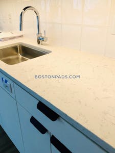 Seaport/waterfront 3 Bed 2 Bath BOSTON Boston - $8,426 No Fee