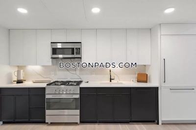 Brighton 2 Beds 2 Baths Boston - $4,295 No Fee