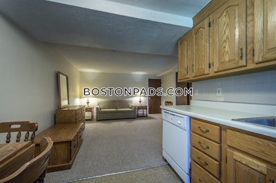 Cambridge Studio 1 Bath  Davis Square - $2,100