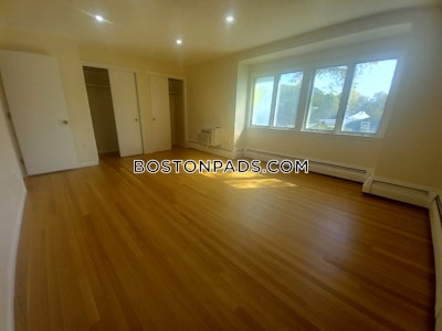 Brookline 2 Beds 1.5 Baths  Chestnut Hill - $3,600