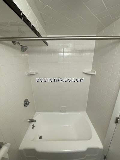 Brighton 0 Bed 1 Bath BOSTON Boston - $1,900 No Fee