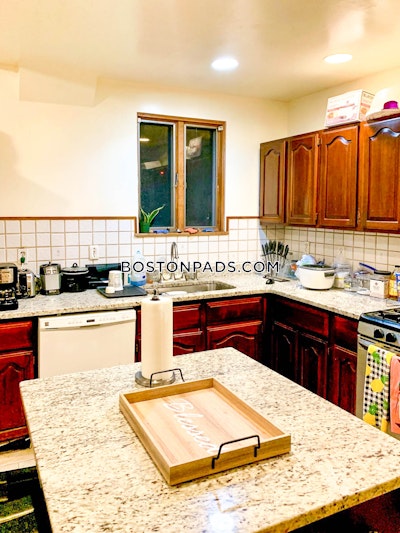 Roxbury 4 Beds 2 Baths Boston - $4,200