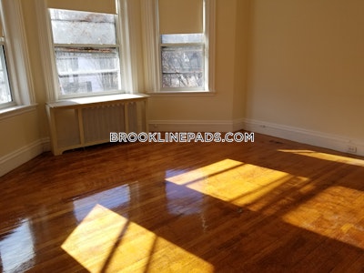 Brookline Apartment for rent 1 Bedroom 1 Bath  Boston University - $3,400