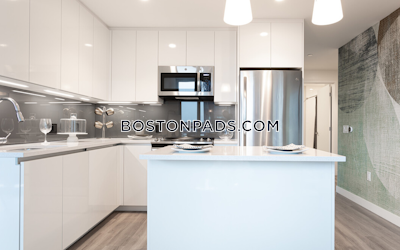 West End Apartment for rent 2 Bedrooms 2 Baths Boston - $11,828