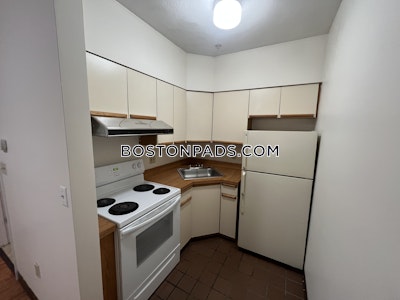 Downtown Apartment for rent 1 Bedroom 1 Bath Boston - $2,500