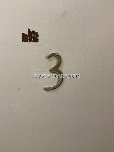 Allston Apartment for rent 3 Bedrooms 2 Baths Boston - $4,155 No Fee