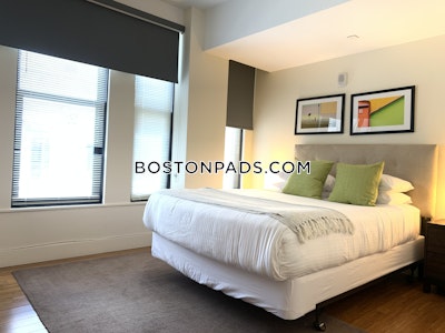 Downtown Apartment for rent 1 Bedroom 1 Bath Boston - $3,200