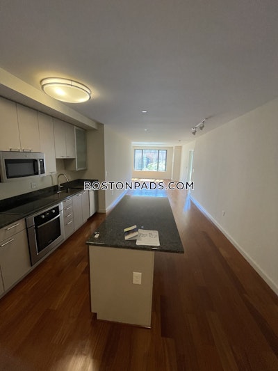 West End Apartment for rent 1 Bedroom 1 Bath Boston - $3,875