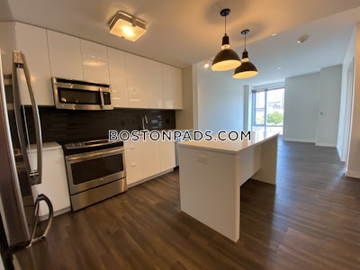 South End Apartment for rent 1 Bedroom 1 Bath Boston - $4,530