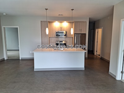 Jamaica Plain 2 bedroom  baths Luxury in BOSTON Boston - $5,100