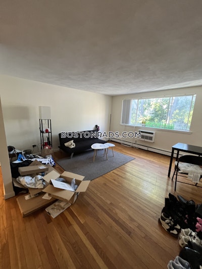 Allston Apartment for rent 2 Bedrooms 1 Bath Boston - $3,500 No Fee