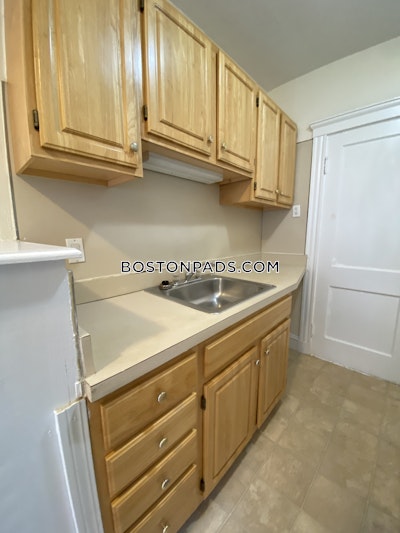 Brighton Apartment for rent 1 Bedroom 1 Bath Boston - $2,400