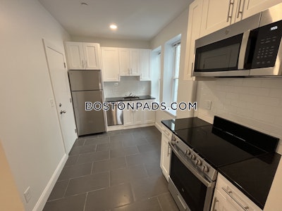 Brighton Apartment for rent 1 Bedroom 1 Bath Boston - $2,525 No Fee