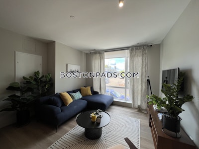 Brighton Apartment for rent 1 Bedroom 1 Bath Boston - $2,635