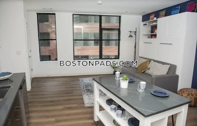 Allston Apartment for rent Studio 1 Bath Boston - $2,995 No Fee