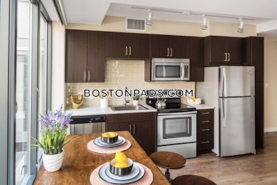 Downtown Studio  Luxury in BOSTON Boston - $3,050