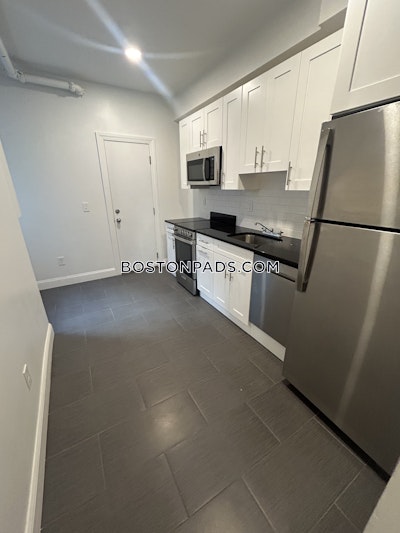 Brighton 2 Beds 1 Bath Boston - $2,995 No Fee