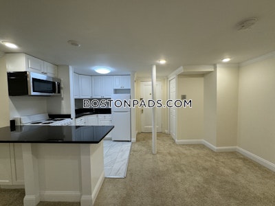 Brighton Studio No Bath Boston - $2,095 No Fee