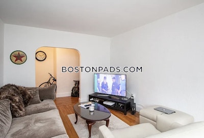 Brighton Apartment for rent 1 Bedroom 1 Bath Boston - $2,300