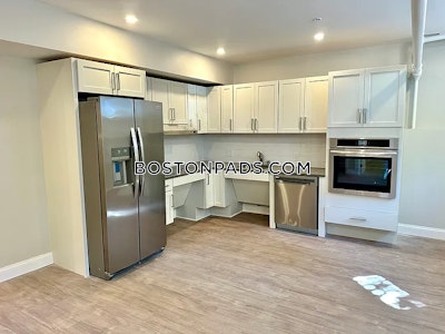 Brighton Apartment for rent 1 Bedroom 1 Bath Boston - $2,275