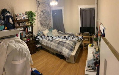 Allston Apartment for rent 1 Bedroom 1 Bath Boston - $2,500